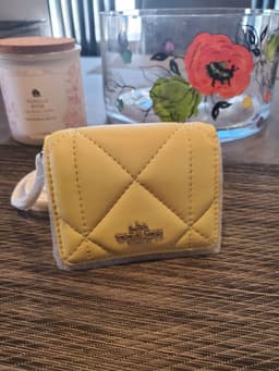 New Arrival ..mini wallet on a chain in Pale/ Lime