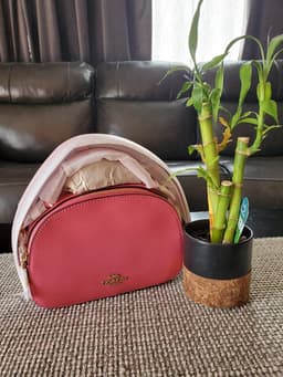New arrival COACH Serena Satchel