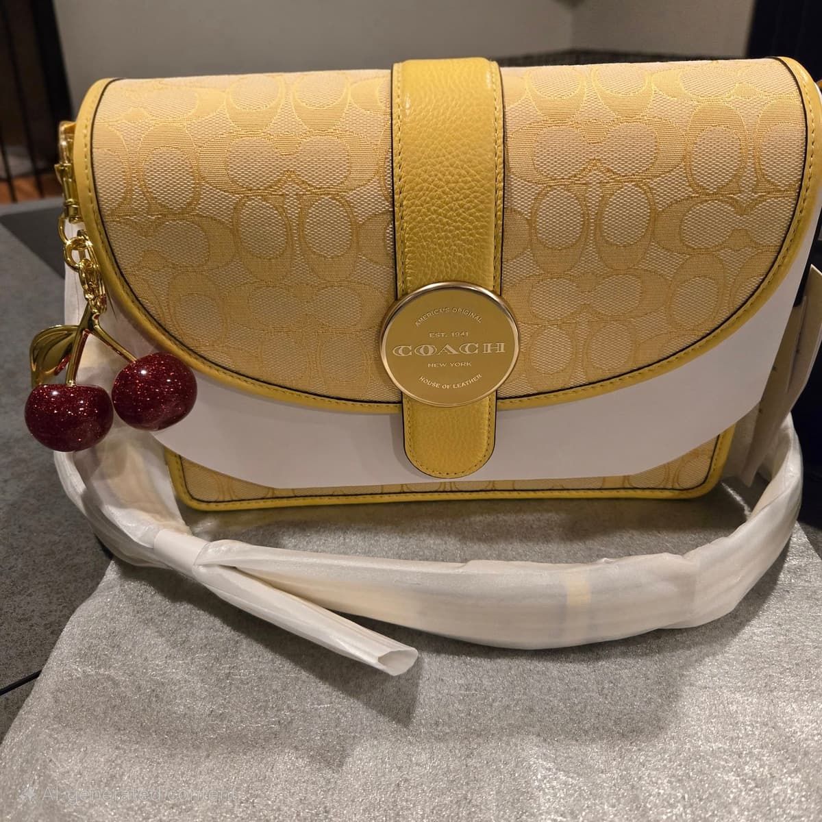 Beautiful COACH with Cherry Charm