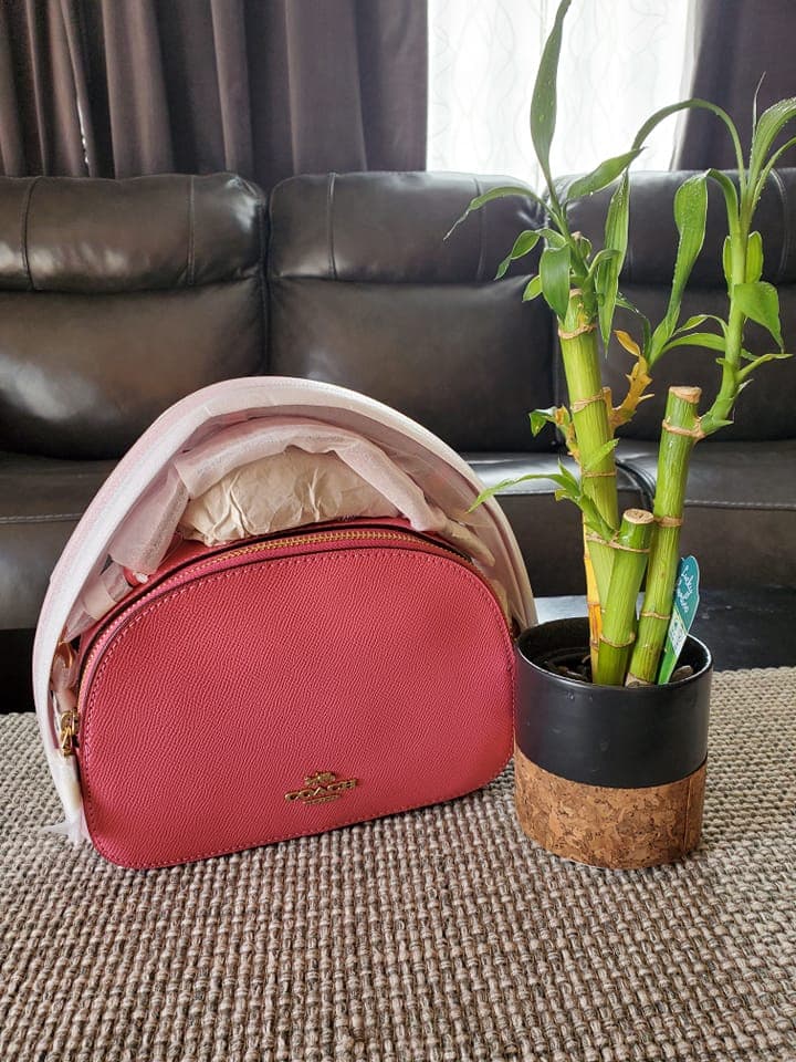 New arrival COACH Serena Satchel