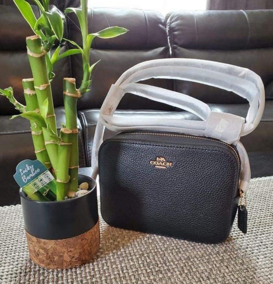Coach mini camera bag ❤️❤️