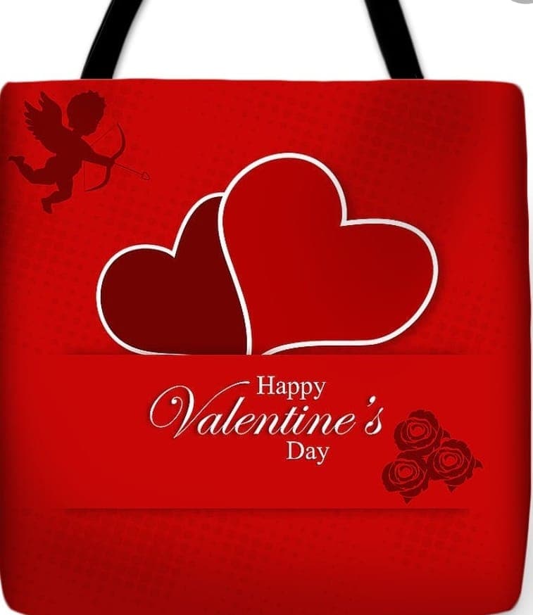 Happy Valentine's Day!! Hope you got that beautiful bag you